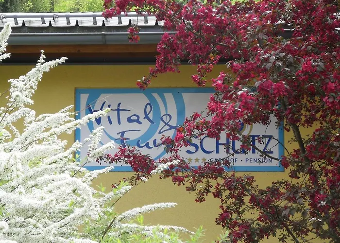 Gasthof-pension Schuetz Везенуфер