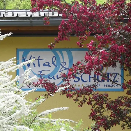 Gasthof-pension Schütz Wesenufer